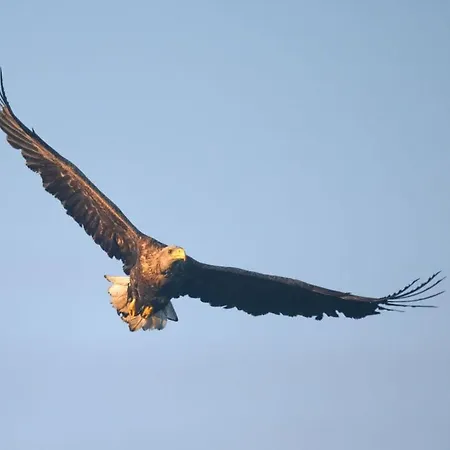 Σπίτι διακοπών Message In A Bottle Modern Retreat