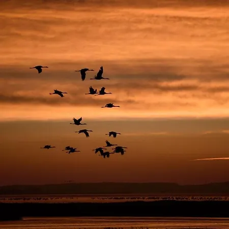 Σπίτι διακοπών Message In A Bottle Modern Retreat