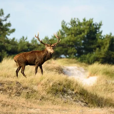 Σπίτι διακοπών Message In A Bottle Modern Retreat *